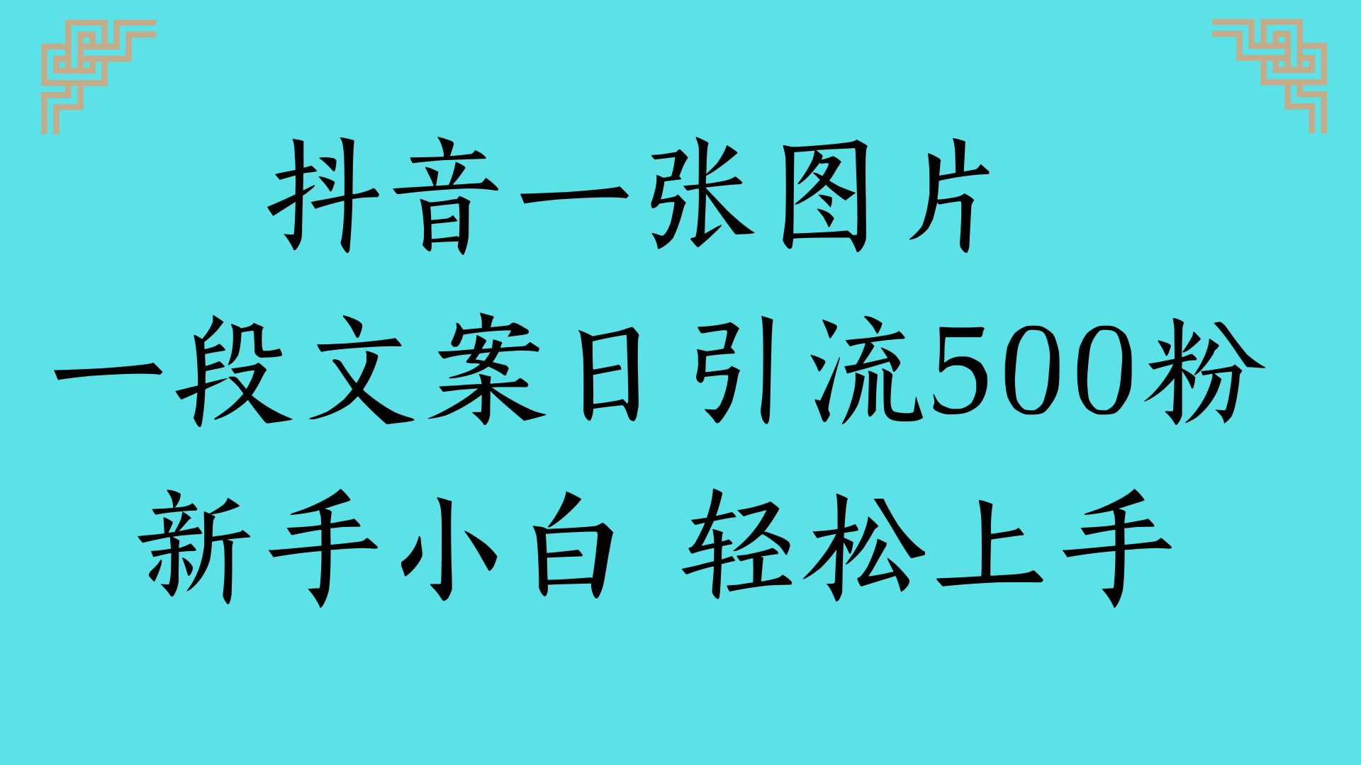 抖音一张图片 一段文案日引流500粉新手小白 轻松上手-宁率网络知识库