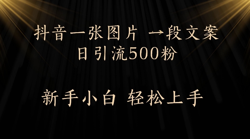 抖音一张图片，一段文案日引流500粉，新手小白 轻松上手-宁率网络知识库