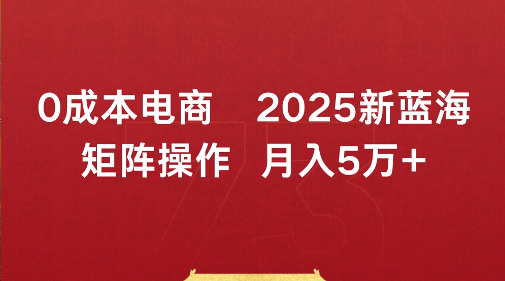 0成本电商2025新蓝海矩阵操作 月入5万+-宁率网络知识库
