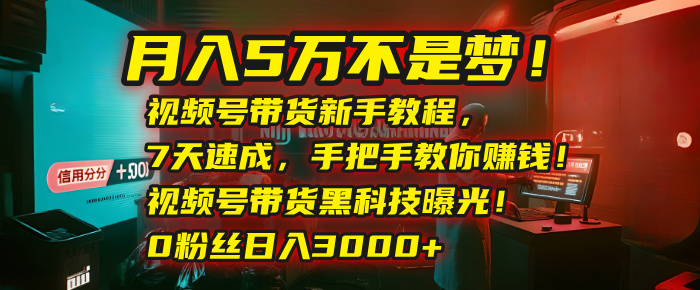 月入5万不是梦！视频号带货新手教程，7天速成，手把手教你赚钱！视频号带货黑科技曝光！0粉丝日入3000+-宁率网络知识库