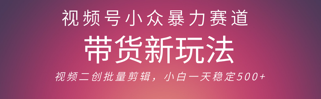 视频号小众暴力赛道，最新带货玩法 小白也能轻松日入500+ 保姆及教程-宁率网络知识库