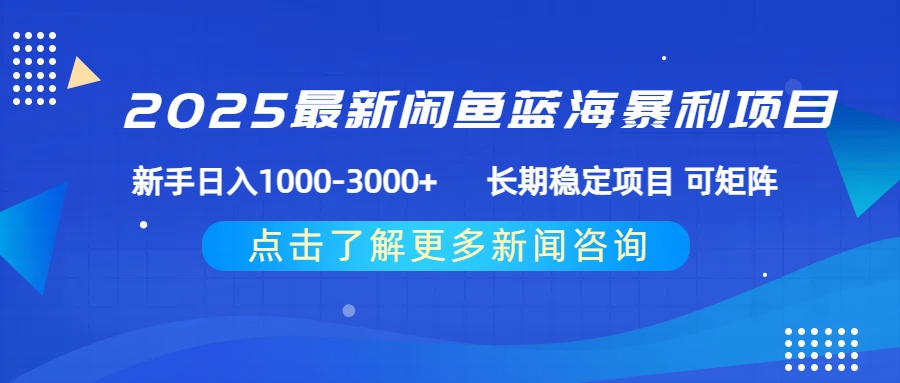 2025最新闲鱼蓝海暴利项目 ，新手日入1000-3000+ 长期稳定项目 可矩阵-宁率网络知识库