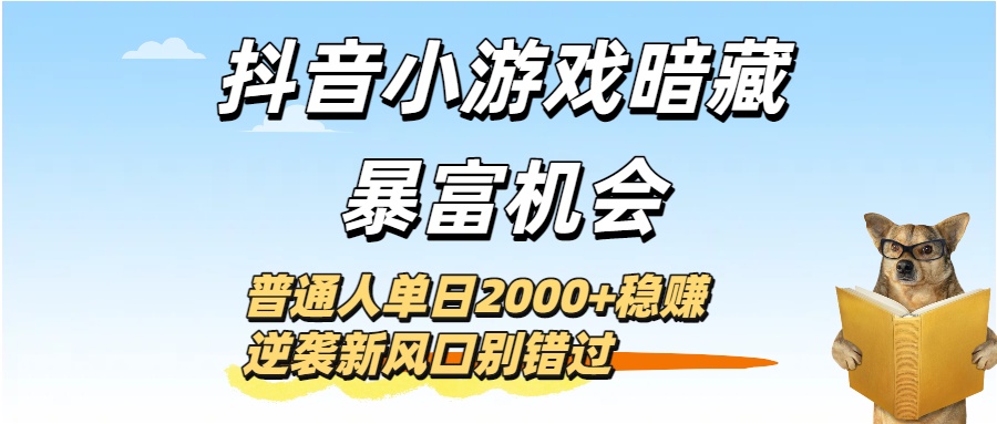 抖音小游戏暗藏暴富机会！普通人单日2000+稳赚，逆袭新风口别错过-宁率网络知识库