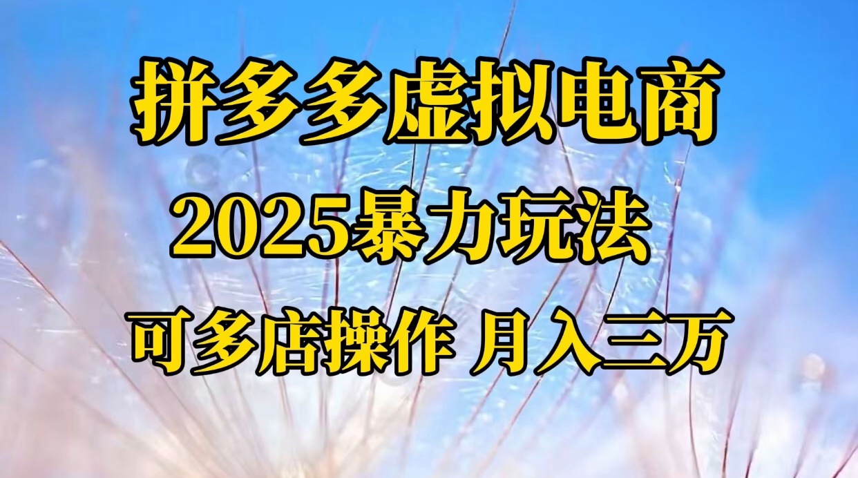 拼多多虚拟电商，不囤货不垫资的虚拟电商-宁率网络知识库