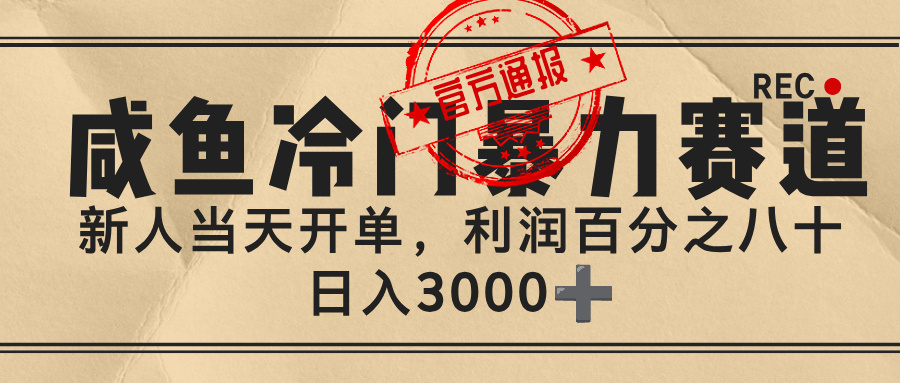 闲鱼，冷门暴力赛道，一单 80%利润，新人轻松日入 3000+-宁率网络知识库