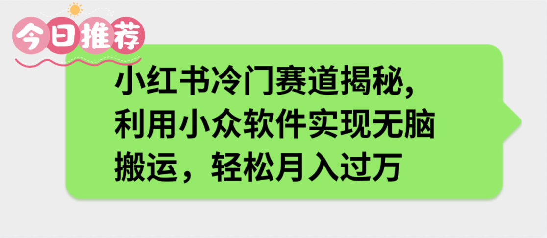 小红书冷门赛道揭秘,利用小众软件实现无脑搬运，轻松月入过万-宁率网络知识库