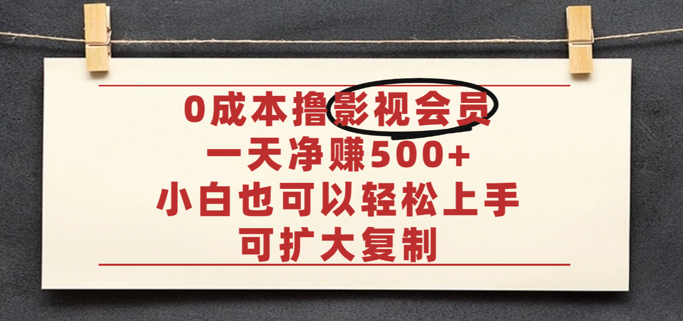 亲测，0成本可批量操作，靠卖影视会员实测月入30000+-宁率网络知识库